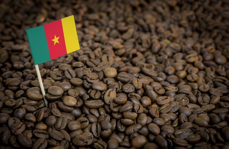 Cameroon Coffee Beans
